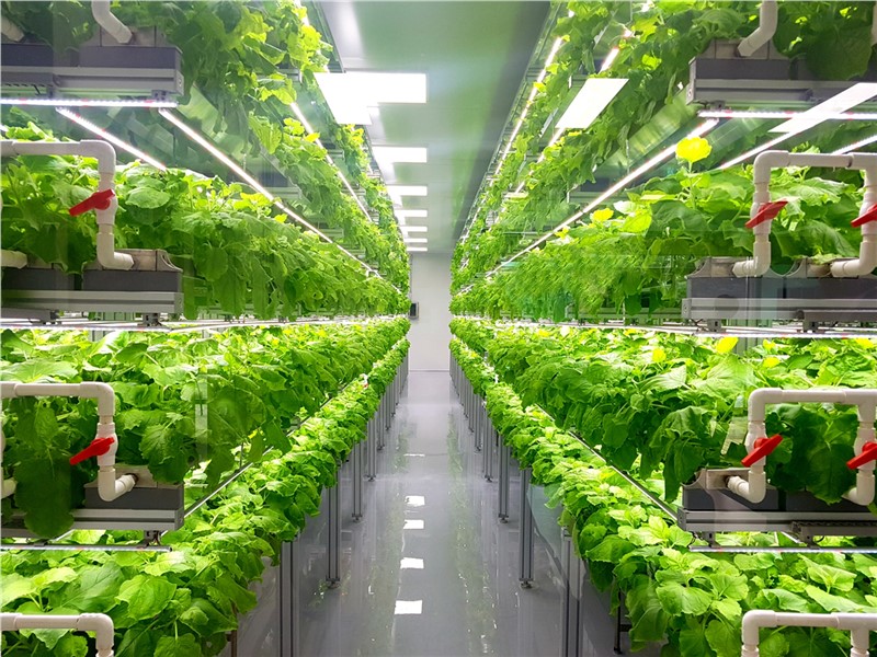 The Global Indoor Farming Technology Market to Reach $17.12 Billion